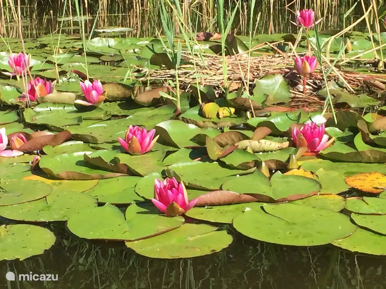 Spricht für sich selbst!