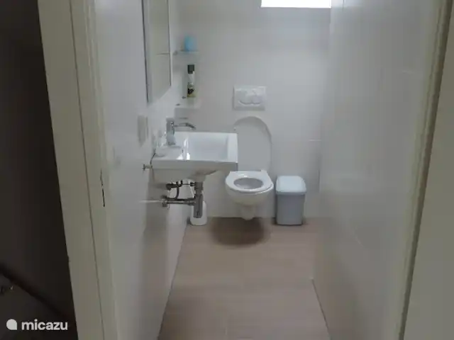 Fietsen, Nederland, Zeeland, Nieuwvliet-Bad, vakantiehuis Le Rivage 9 Nieuwvliet Toilet en inloop Douche