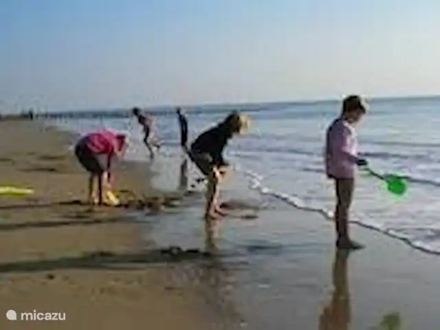 Fietsen, Nederland, Zeeland, Nieuwvliet-Bad, vakantiehuis Le Rivage 9 Nieuwvliet Strand