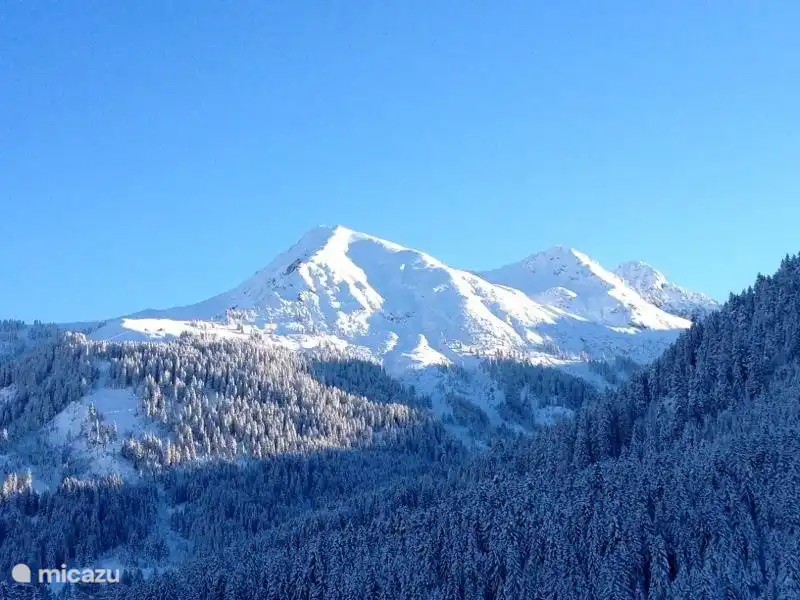 Aparthotel Mittelberg Kleinwalsertal in Österreich, Vorarlberg, Mittelberg - Appartement