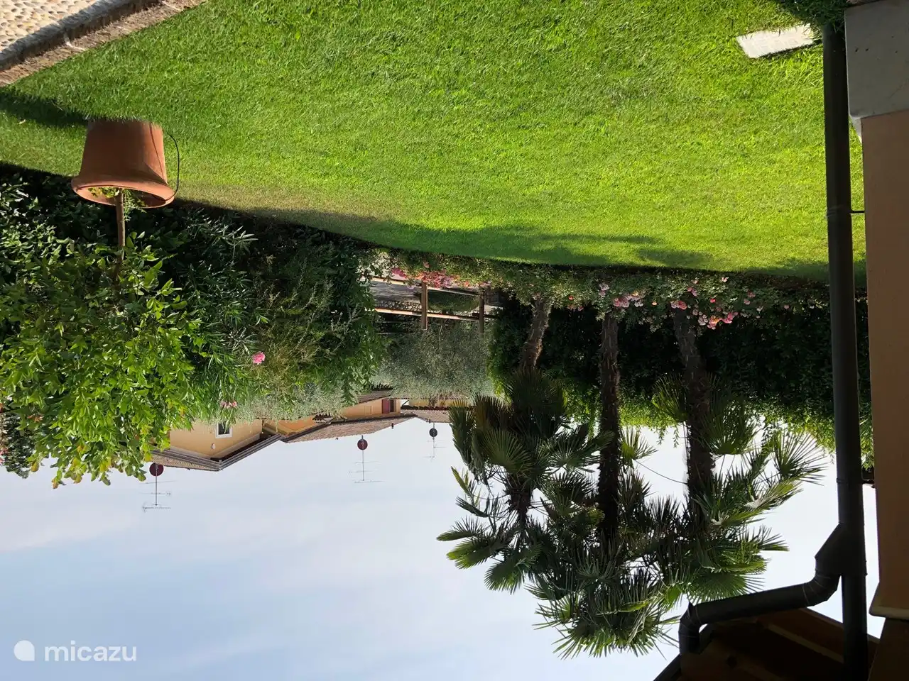 Vorgarten mit Rasen zum Spielen und schöner Vegetation.