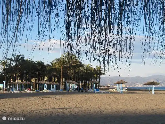 Villa de vacances de luxe, Finca Nirvana | Espagne, Andalousie, Colmenar - maison de vacances Les plages d'Andalousie sont magnifiques. Il y a quelque chose pour chacun.
Sports nautiques, restauration, sports/jeux, boutiques, boulevard, etc. Dans le sable ou plutôt luxe dans l'un des nombreux salons.