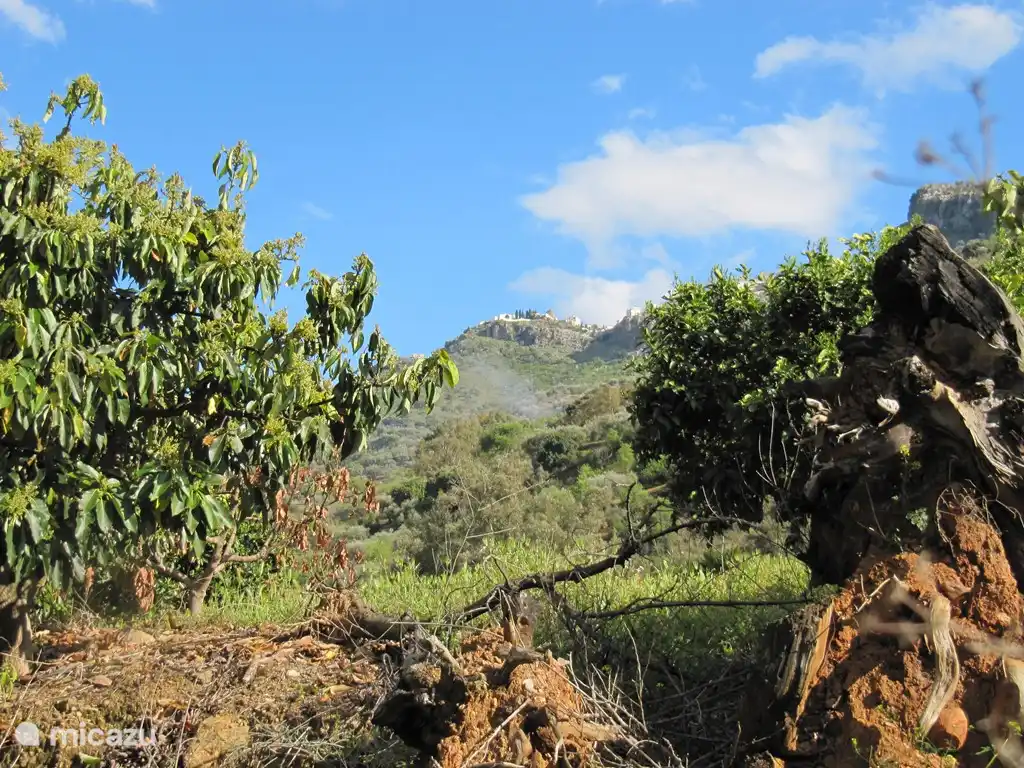 En el camino del pueblo a la Finca se puede ver a lo lejos el precioso pueblo serrano de Comares. Este pueblo es más que digno de una visita debido a su rica historia. Se encuentra a 703 metros sobre el nivel del mar y ofrece una vista fantástica de la costa.