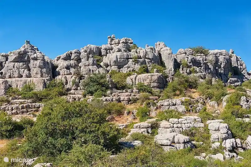 El Torcal es una pequeña sierra entre las ciudades de Antequera y Málaga. Las rocas aquí originalmente formaron el lecho marino y han cambiado lentamente durante millones de años. La exuberante flora y fauna son un bis en este hermoso lugar, considerado único en Europa.