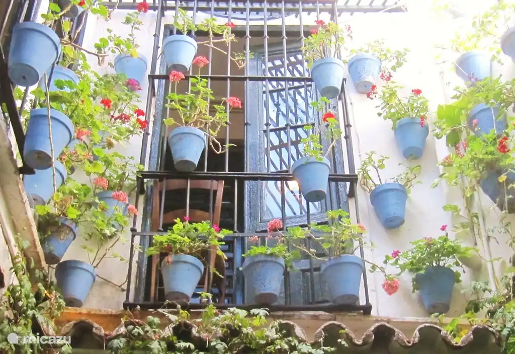 Málaga tiene muchos restaurantes, terrazas y bares. Bellamente decorado y muy divertido.