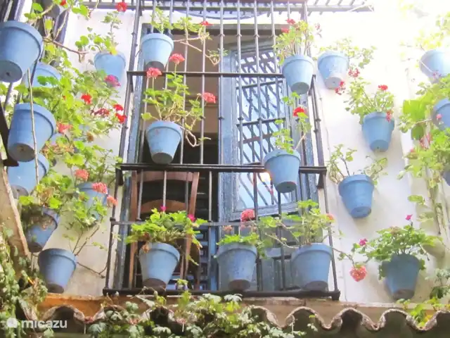 Villa de vacances de luxe, Finca Nirvana | Espagne, Andalousie, Colmenar - maison de vacances Malaga compte de nombreux restaurants, terrasses et bars. Joliment décoré et beaucoup de plaisir.