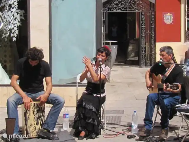 Villa de vacances de luxe, Finca Nirvana | Espagne, Andalousie, Colmenar - maison de vacances Juste dans une rue commerçante, vous trouverez de la bonne musique flamenco
