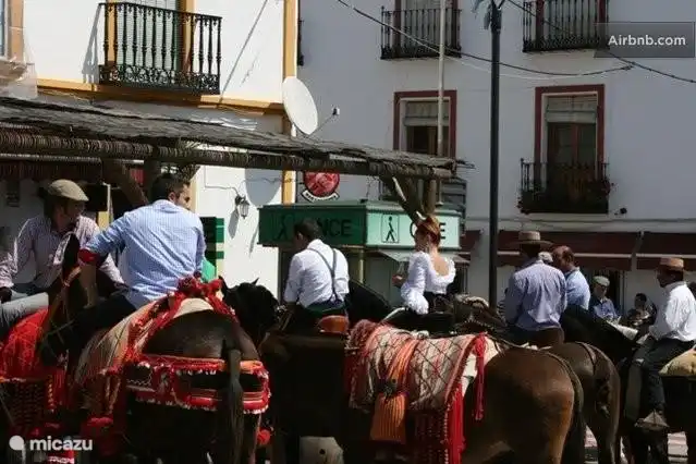 Incluso puede ocurrir que los caballos estén aparcados en el bar de tapas del pueblo en un día especial