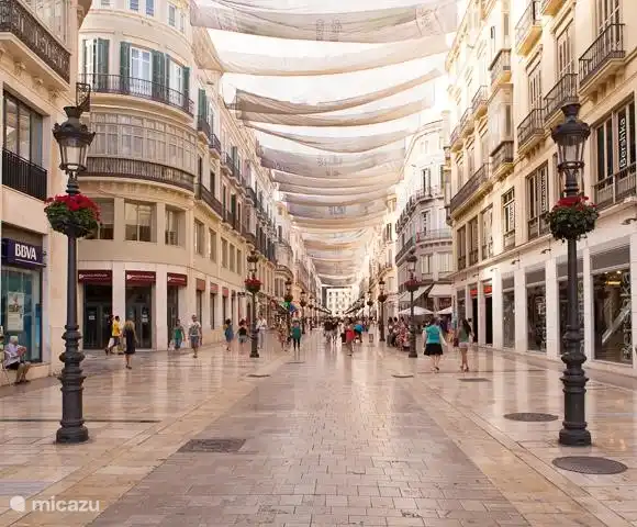 Calle comercial Málaga en verano