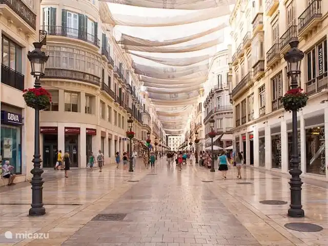 Villa de vacances de luxe, Finca Nirvana | Espagne, Andalousie, Colmenar - maison de vacances Rue commerçante Malaga en été