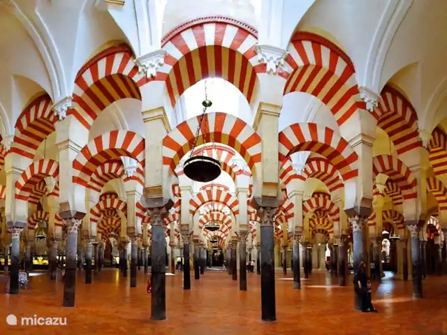Villa de vacances de luxe, Finca Nirvana | Espagne, Andalousie, Colmenar - maison de vacances Mezquita de Cordoue. Vraiment beau à voir puis à travers les rues étroites pour une collation et une boisson