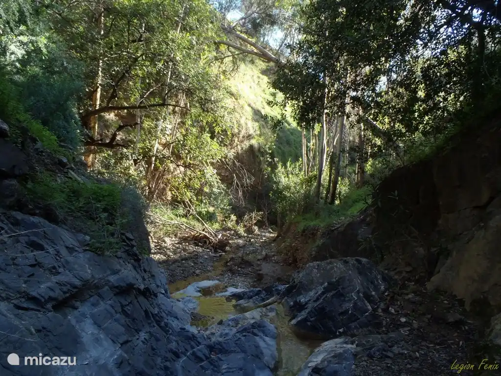 Montes de Málaga es una hermosa reserva natural con varias rutas de senderismo y se encuentra en la ruta provincial de Colmenar a Málaga.