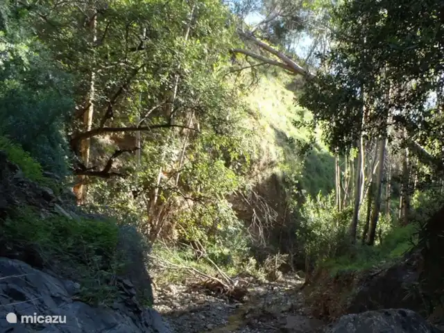 Villa de vacances de luxe, Finca Nirvana | Espagne, Andalousie, Colmenar - maison de vacances Montes de Malaga est une belle réserve naturelle avec divers sentiers de randonnée et est située sur la route provinciale de Colmenar à Malaga