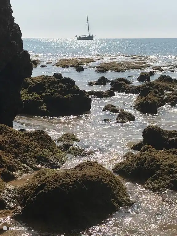 A 5 minutes à pied de la maison, vous trouverez une belle côte rocheuse avec de petites plages.