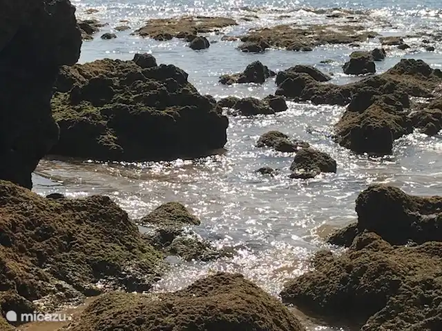 Casa Carpe Diem | Portugal, Algarve, Alvor - villa A 5 minutes à pied de la maison, vous trouverez une belle côte rocheuse avec de petites plages.