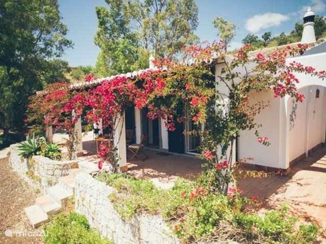 Casa vacacional Portugal, Algarve, Pereiro - Moncarapacho - villa Villa Helder