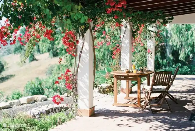 Helder verfügt über eine überdachte Veranda. Morgens in der Sonne, nachmittags bietet die Veranda Schatten. Die geräumige Terrasse unten und die Terrasse an der Seite haben den ganzen Tag Sonne.