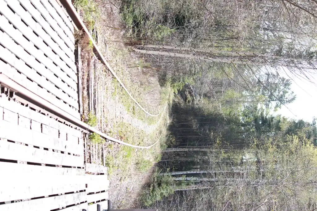 Der alte Bahndamm, der nur für „Dressins“ (Radfahren auf der Strecke) genutzt wird