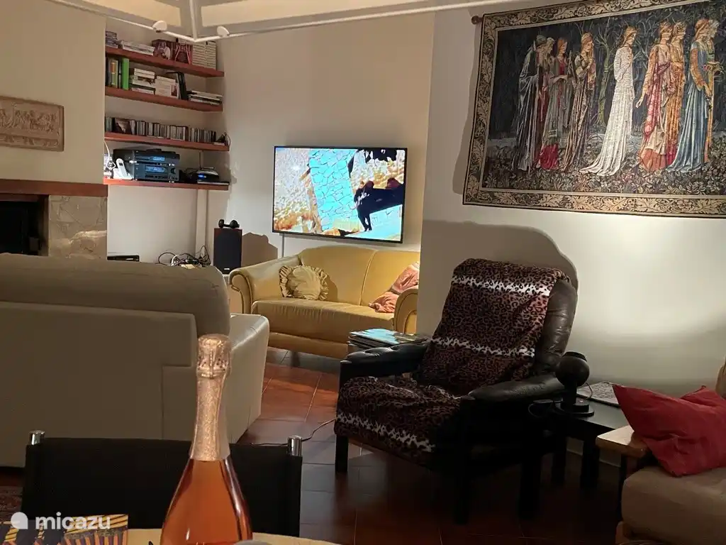 Acogedor salón con chimenea, zona de estar TV, mesa de comedor, audio, libros, etc. Puerta con mosquitera al balcón.