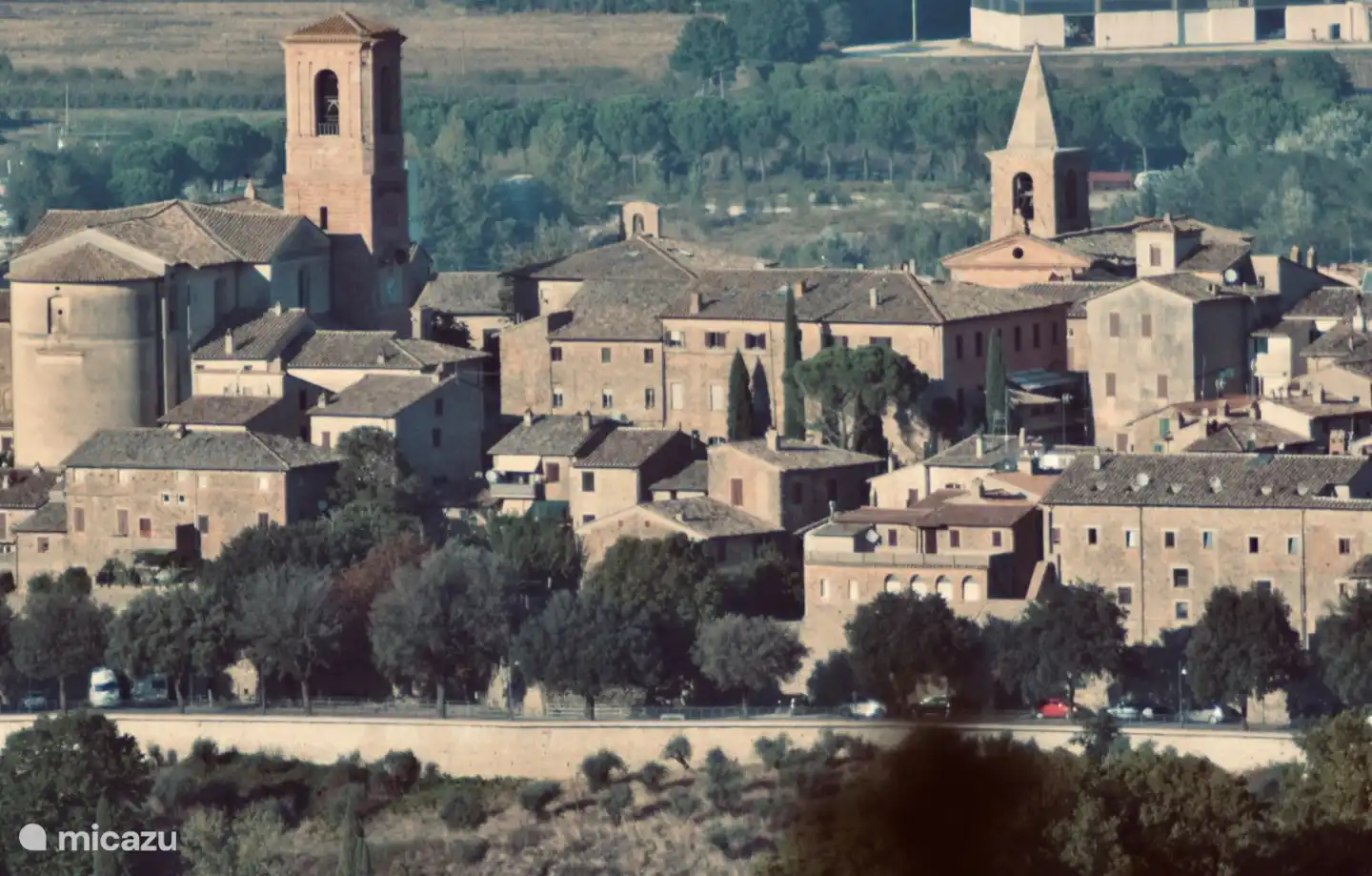 Bettona en primer plano