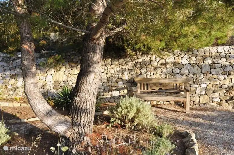 Jardin spacieux, avec de nombreux coins tranquilles.