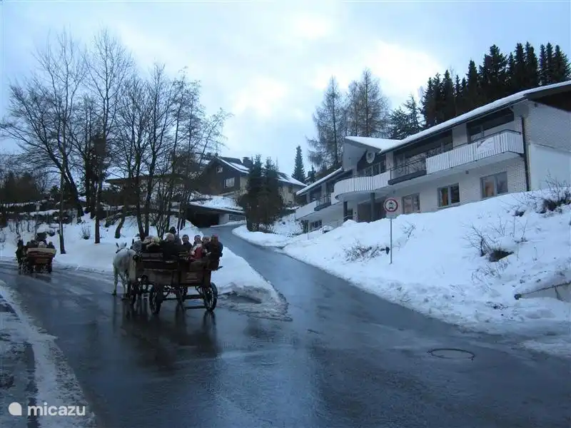 villa, Schwalefeld - Willingen, Sauerland, Deutschland - Villa Boskoop
