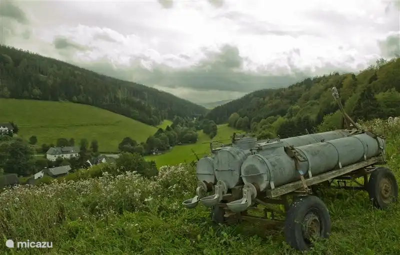 Sommer! Trinkwasserbehälter für die Kühe.