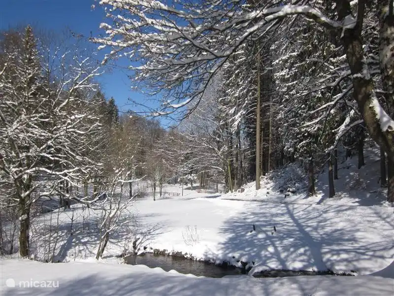 Der Blick von der Front in den Schnee. Ruhe und Raum, aber in der zivilisierten Welt.