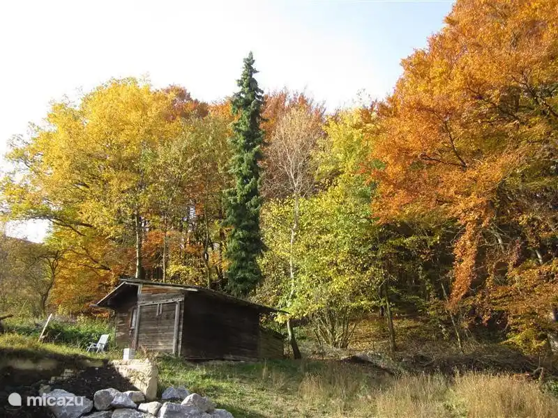 Hintergarten mit alten Schuppen.