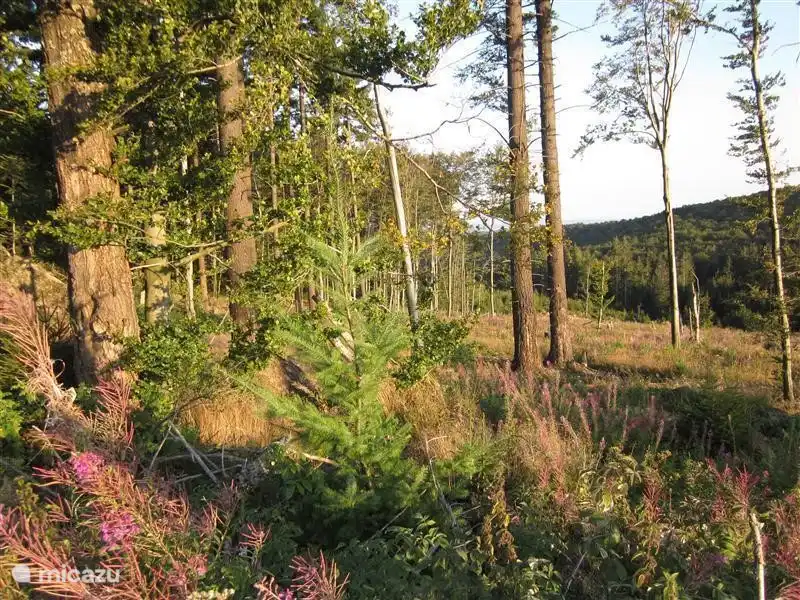 Viele Landschaften: Wiesen, Wälder, weite Ebenen, Moore, Berge, Täler und Seen. Sehr Besonderes zu sehen. Diese vielen Variationen in einer Route