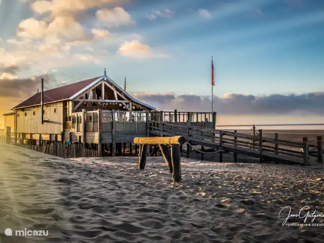 Le Tureluur | Pays-Bas, Zélande, Renesse - bungalow