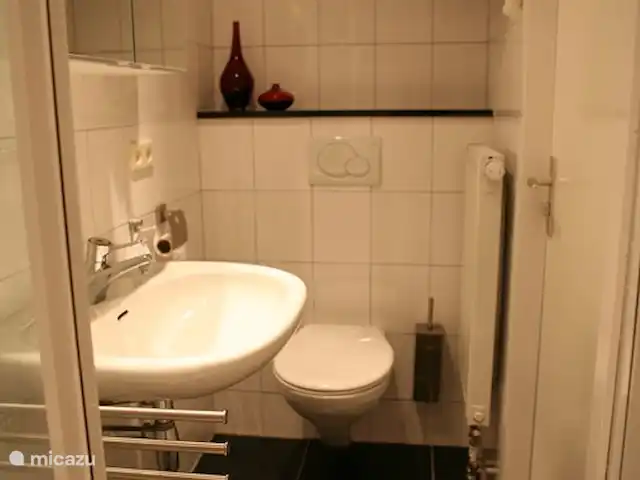 Le Tureluur | Pays-Bas, Zélande, Renesse - bungalow Salle de bain supplémentaire attenante avec douche et WC dans le chalet