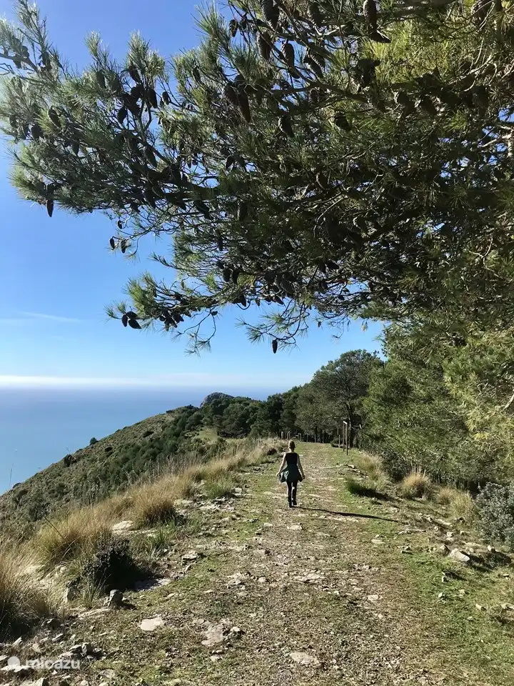 Curso fitness donde entrenas en la frontera entre la tierra y el mar