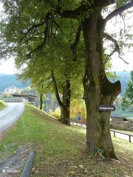 Rund um die Burg zu Fuß ist es wert, schöne Bäume und Ansichten sind die Belohnung.