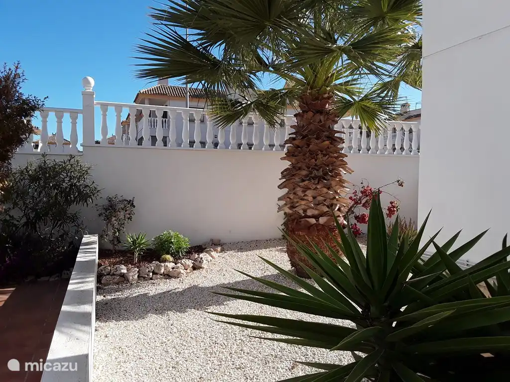 The garden at the rear of the apartment