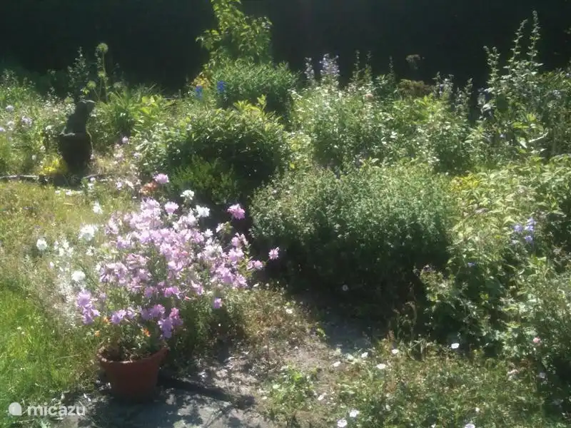 Ein gemütliches Garten