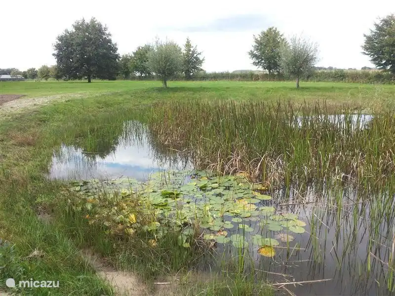 Auf privaten Grundstücken eine flache Paddepoel. Ruhe und Raum.