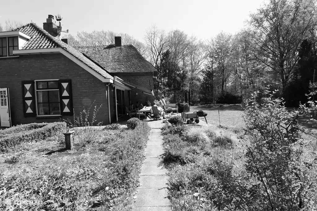 Heel veel privacy (foto Johan Rebergen)