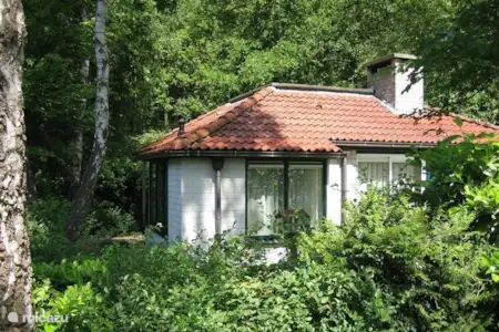 Vakantiehuis Nederland, Gelderland, Ermelo bungalow Sparrendal Vakantiehuis Nederland, Gelderland, Ermelo bungalow Sparrendal