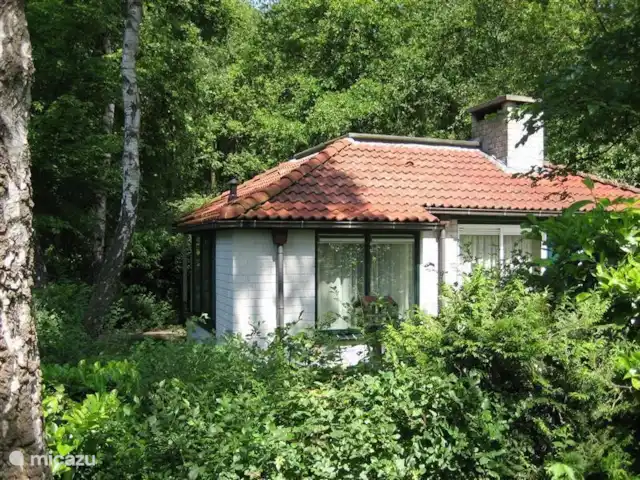 Sparrendal huren in Nederland, Gelderland, Ermelo - bungalow Sparrendal huren in Nederland, Gelderland, Ermelo - bungalow