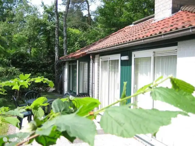 Sparrendal huren in Nederland, Gelderland, Ermelo - bungalow Terras