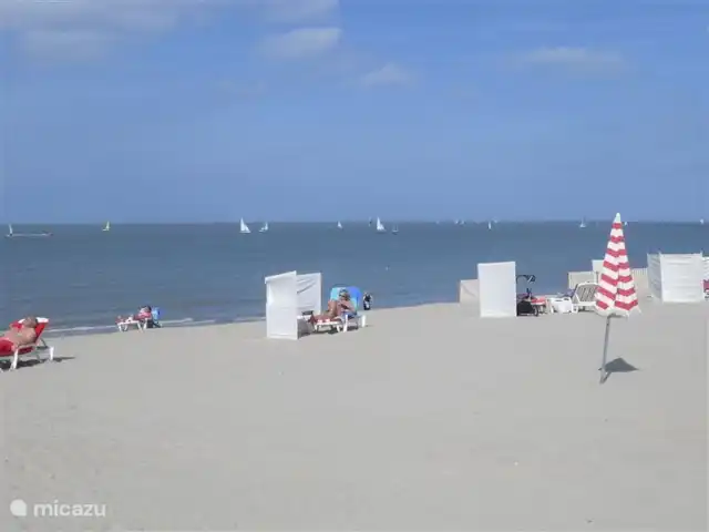 villa huren in België, Belgische Kust, Knokke – Villa De Mier - La Fourmi de zee !