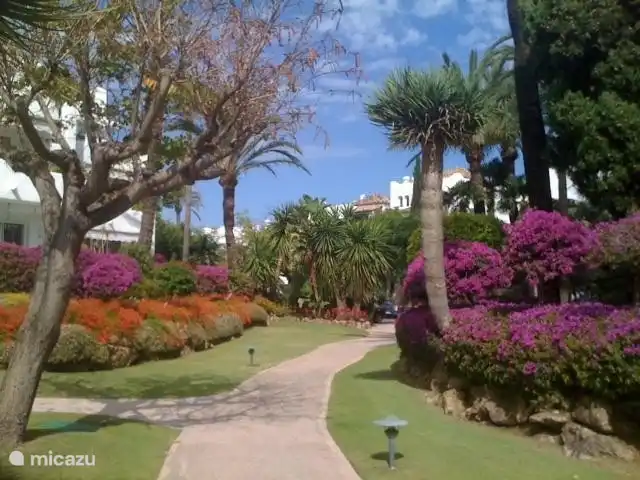 Le jardin toujours fleuri.