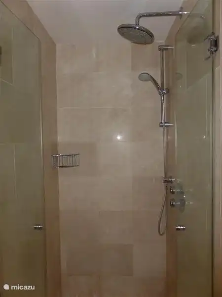 La salle de bain avec douche et baignoire.