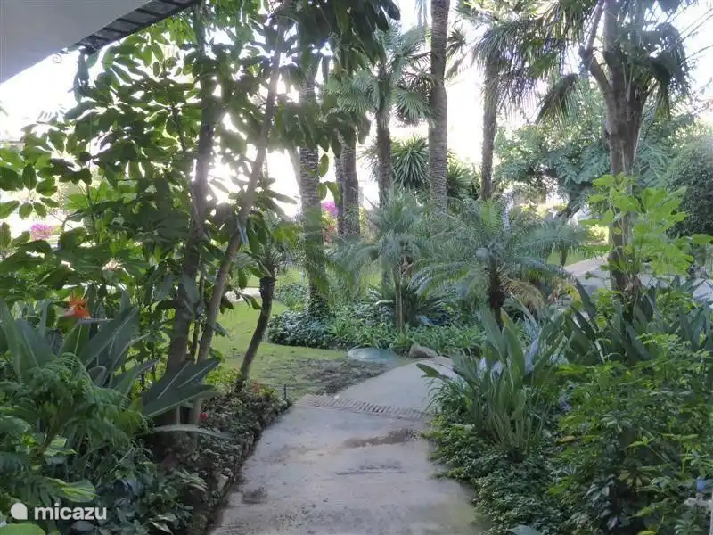 Appartement d'entrée.