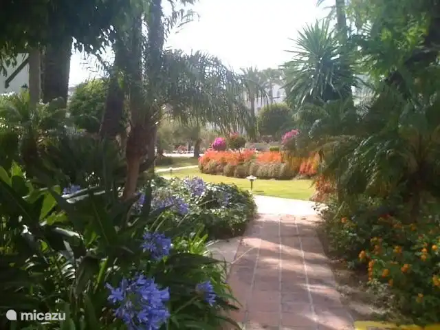 Le chemin d'accès à l'entrée de l'appartement.