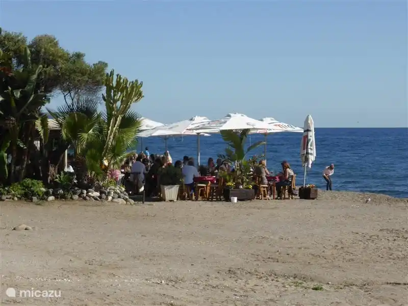 De nombreux bars de plage où vous pourrez vous détendre
Est.