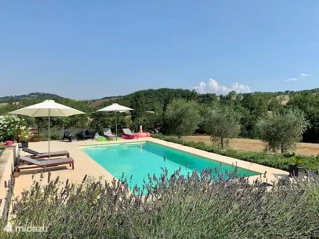 Vom Haus aus hat man seit Sommer 2018 einen wunderbaren Blick auf das schöne neue Schwimmbad und im Frühjahr 2019 wurde eine neue Begrünung angebracht.