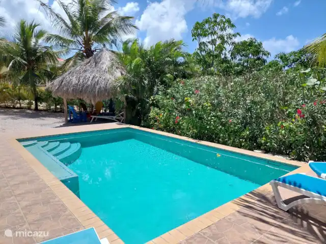 Villa Flamboyante | Curaçao, Banda Abou (ouest), Fontein - maison de vacances Palapa où vous pouvez vous asseoir dans le vent.