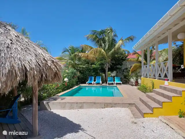 Villa Flamboyante | Curaçao, Banda Abou (ouest), Fontein - maison de vacances Le jardin regorge de grands palmiers.